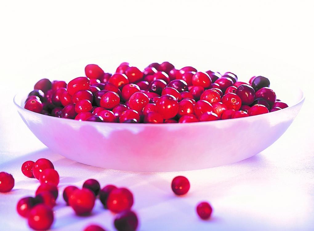 Cranberries Hit Record Recognition and Popularity Among Chinese